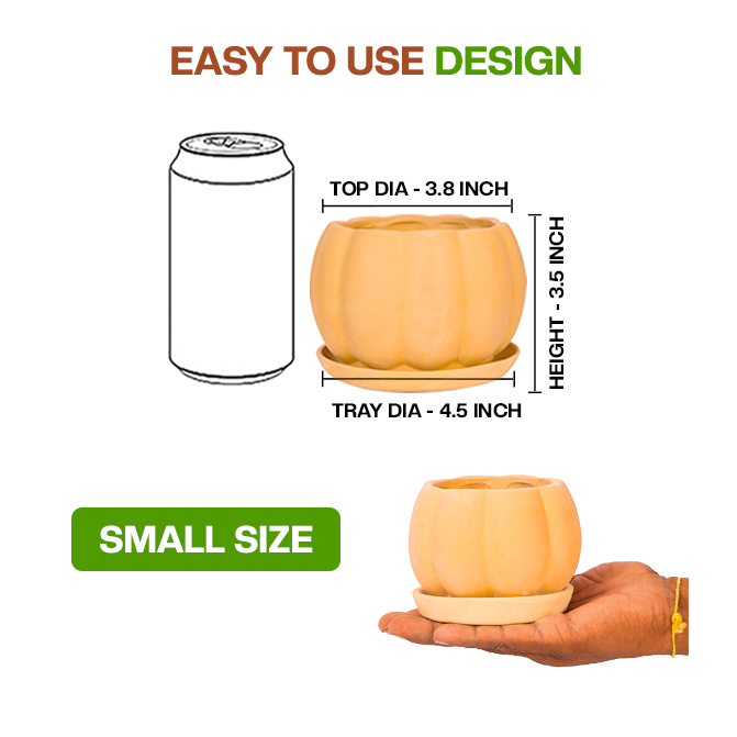 Terracotta Flower Pot showing easy to use design with dimension view and small size, ideal for indoor and outdoor plant lovers.