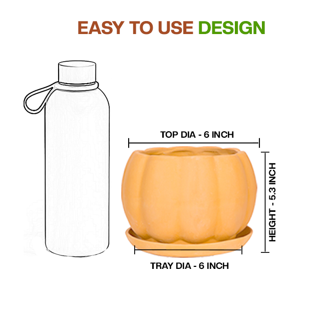 Terracotta Flower Pot showing easy to use design with dimension view and small size, ideal for indoor and outdoor plant lovers.