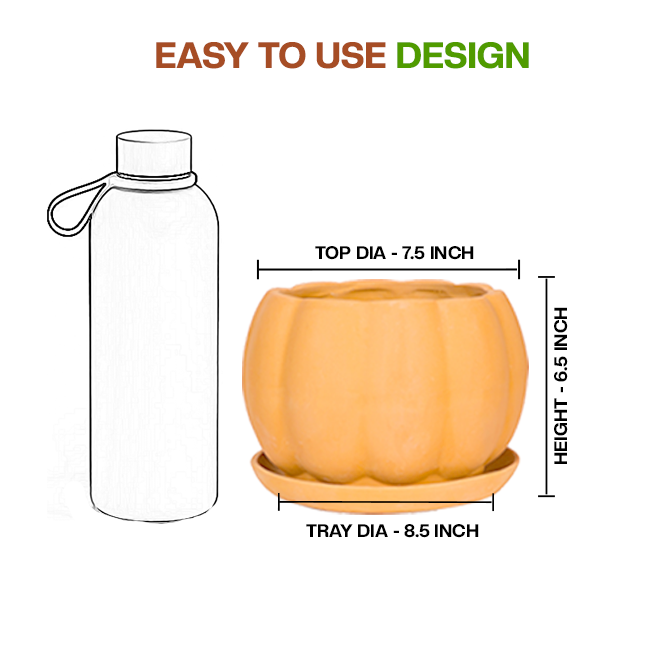 Terracotta Flower Pot showing easy to use design with dimension view and small size, ideal for indoor and outdoor plant lovers.