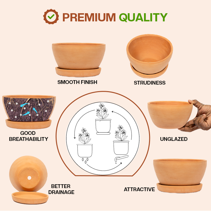 Terracotta Shape planter highlighting product features like smooth finish, sturdiness, good breathability, better drainage, unglazed design, and attractive look.