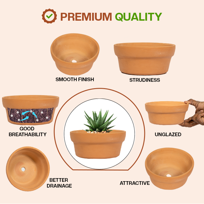 Terracotta Shape planter highlighting product features like smooth finish, sturdiness, good breathability, better drainage, unglazed design, and attractive look.