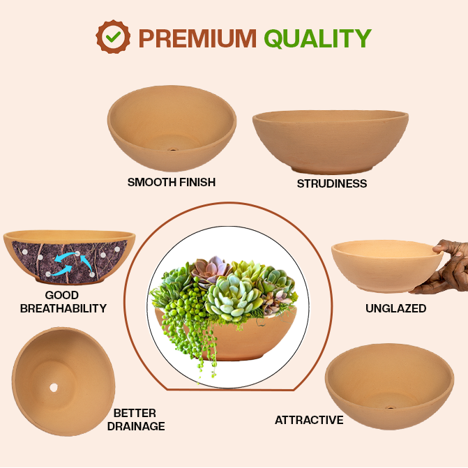 Terracotta Shape planter highlighting product features like smooth finish, sturdiness, good breathability, better drainage, unglazed design, and attractive look.