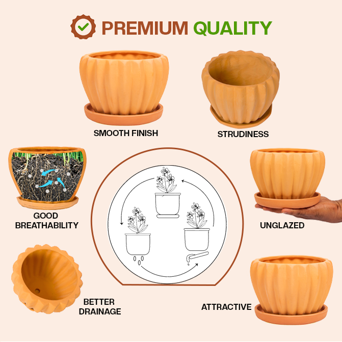 Terracotta Shape planter highlighting product features like smooth finish, sturdiness, good breathability, better drainage, unglazed design, and attractive look.