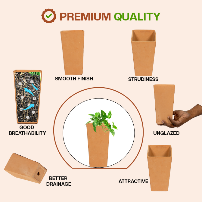 Terracotta Shape planter highlighting product features like smooth finish, sturdiness, good breathability, better drainage, unglazed design, and attractive look.