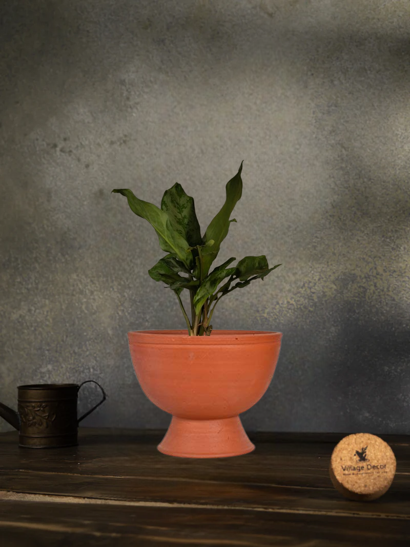 Terracotta Flower Planter pot, great for adding earthy tones to indoor and garden spaces.