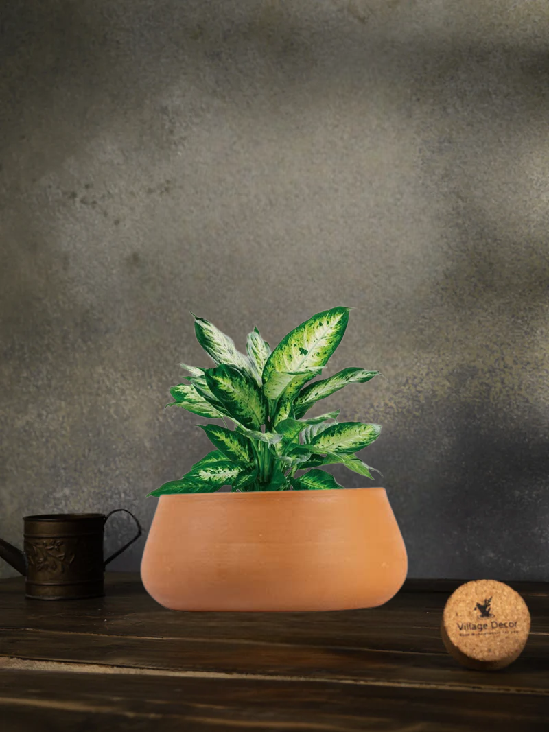 Terracotta Flower Planter pot, great for adding earthy tones to indoor and garden spaces.