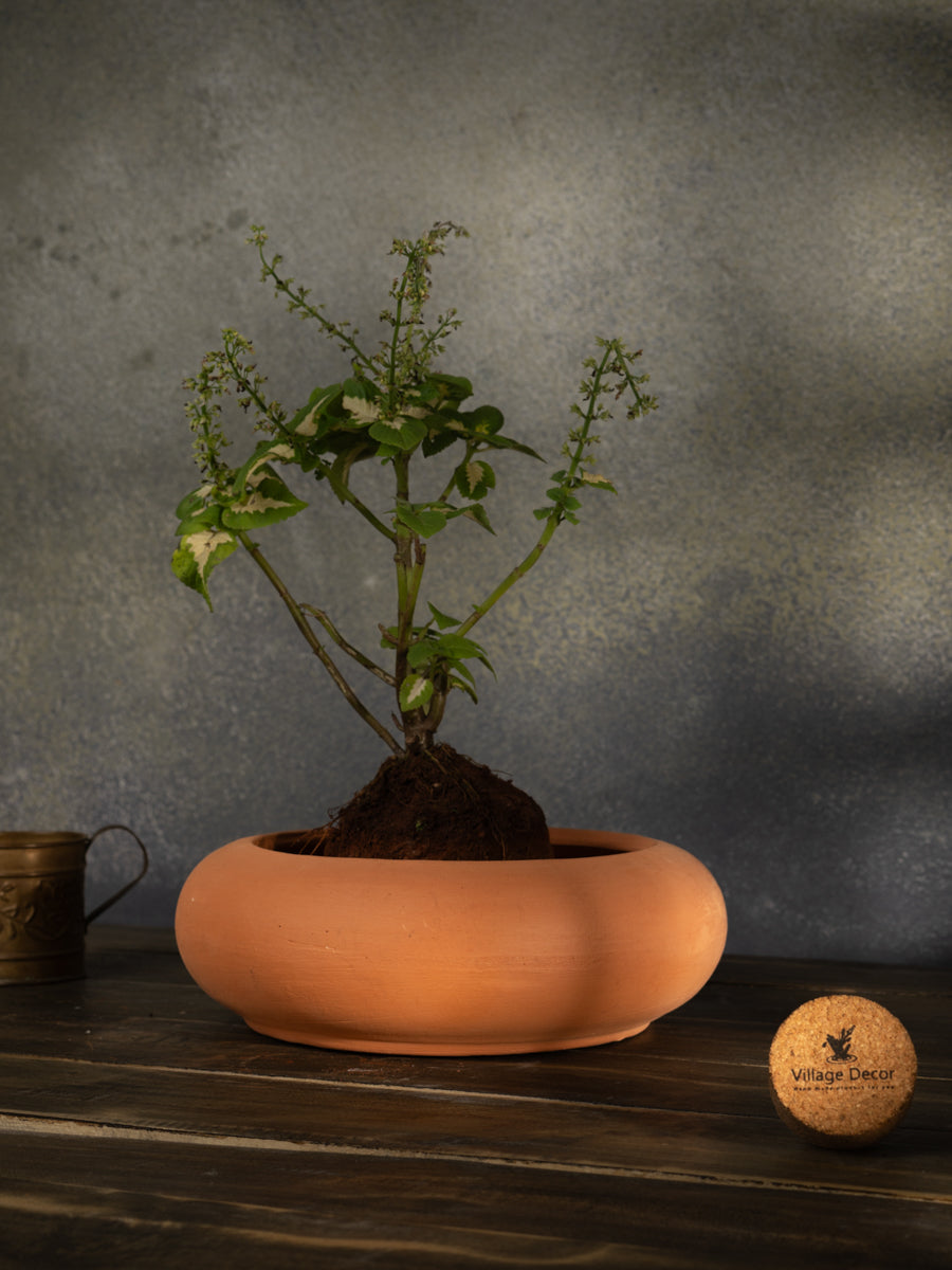 Terracotta Flower Planter pot, great for adding earthy tones to indoor and garden spaces.