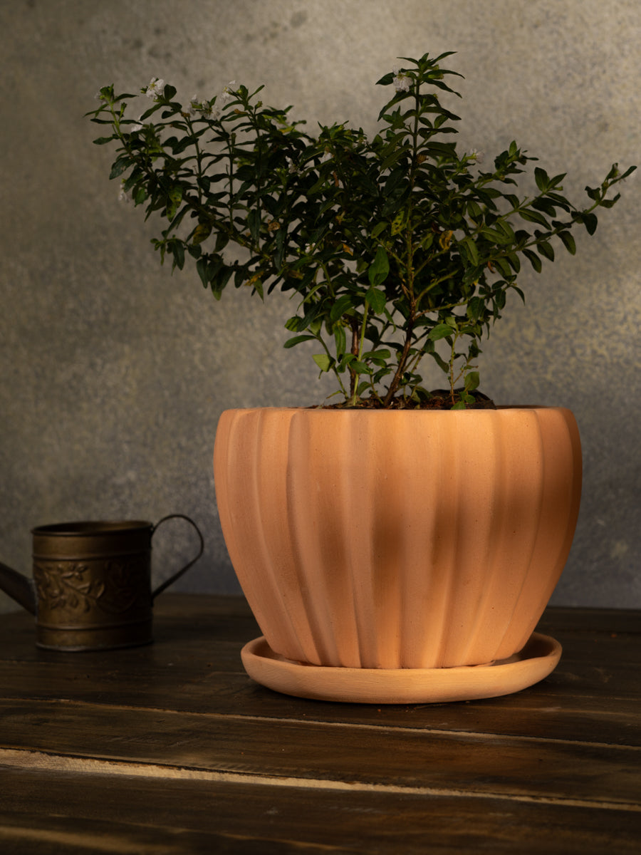Terracotta Flower Planter pot, great for adding earthy tones to indoor and garden spaces.