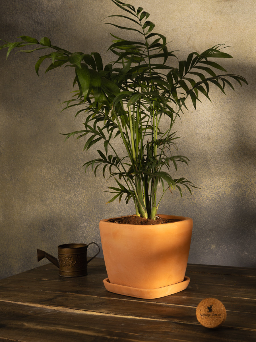 Terracotta Flower Planter pot, great for adding earthy tones to indoor and garden spaces.