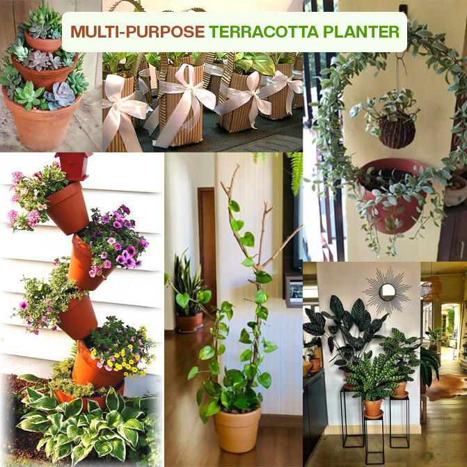 Multi-purpose terracotta indoor planter ideal for flowering plants, herbs, and balcony garden setups.