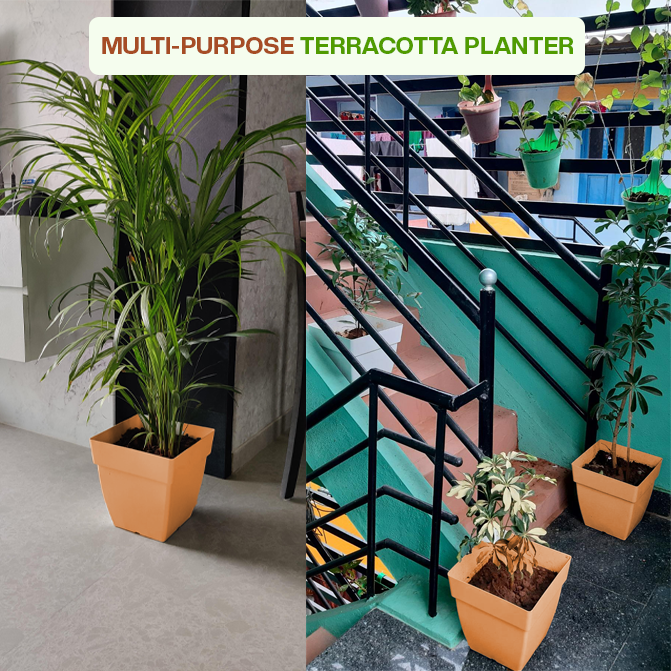 Multi-purpose terracotta indoor planter ideal for flowering plants, herbs, and balcony garden setups.