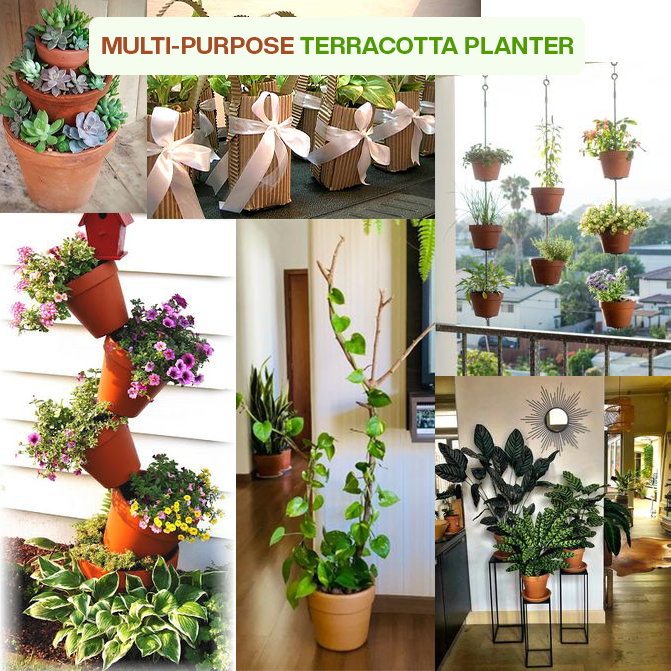 Multi-purpose terracotta indoor planter ideal for flowering plants, herbs, and balcony garden setups.