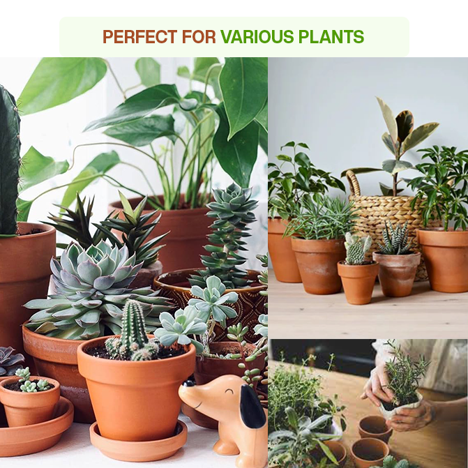 Terracotta clay garden pots filled with succulents, herbs, and leafy indoor plants, ideal for home, balcony, or table decor.