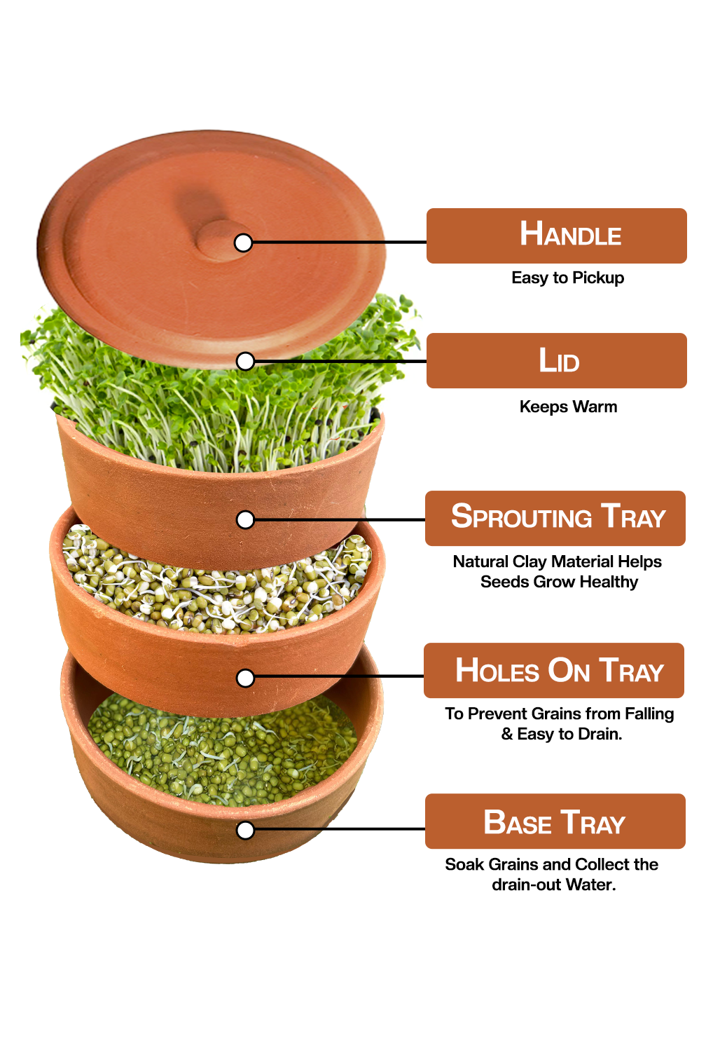 Easy to understand view of terracotta sprout maker showing its lid sprouting trays and base with labels.