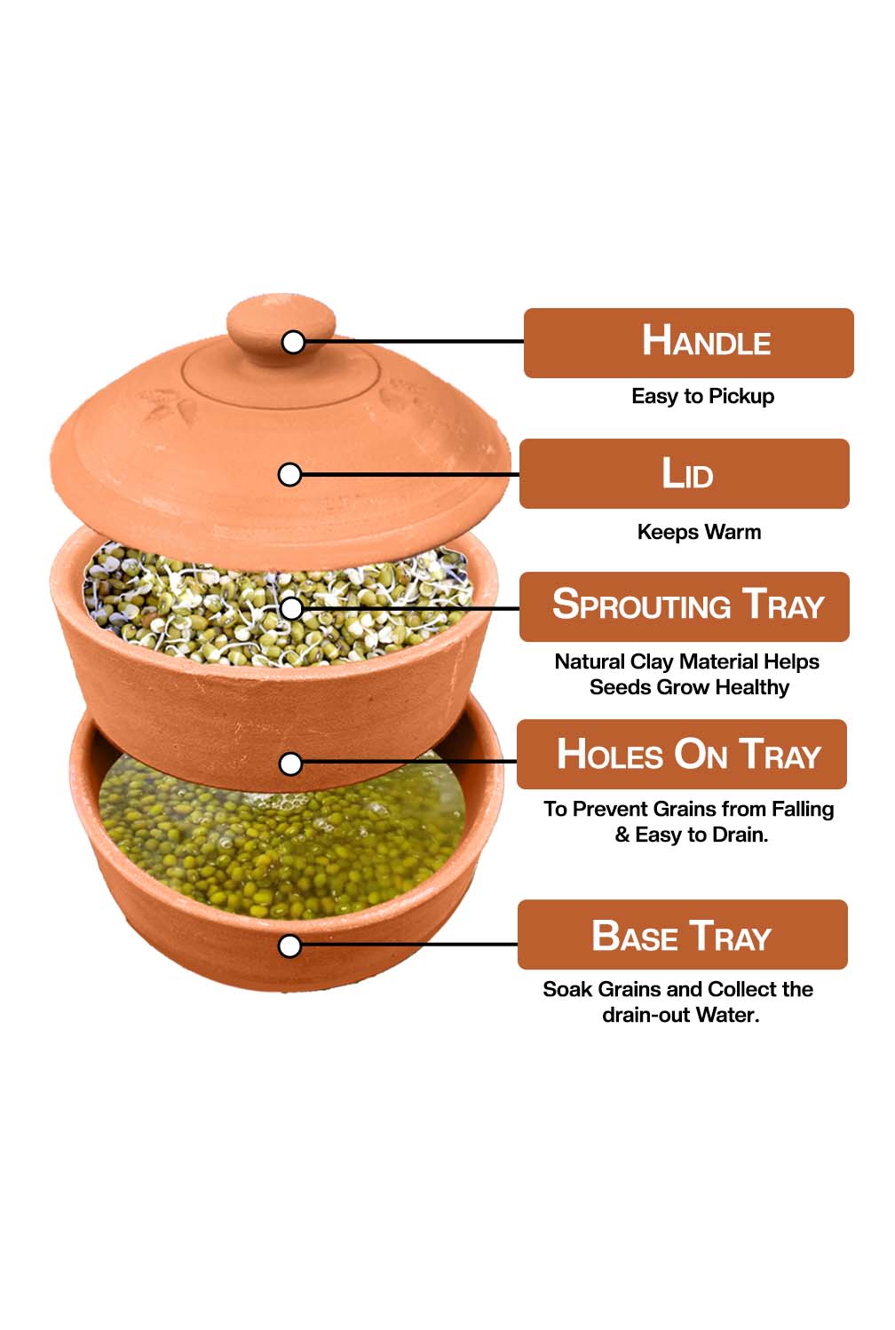 Easy to understand view of terracotta sprout maker showing its lid sprouting trays and base with labels.