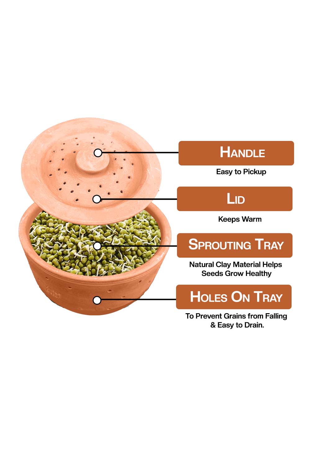 Easy to understand view of terracotta sprout maker showing its lid sprouting trays with labels.