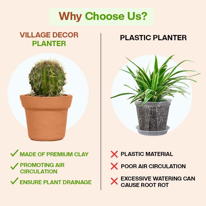 Comparison Between Village Decor Terracotta Planter Pots And Plastic Planter, Highlighting Benefits Like Air Circulation, Drainage, And Clay Material Over Plastic Drawbacks.