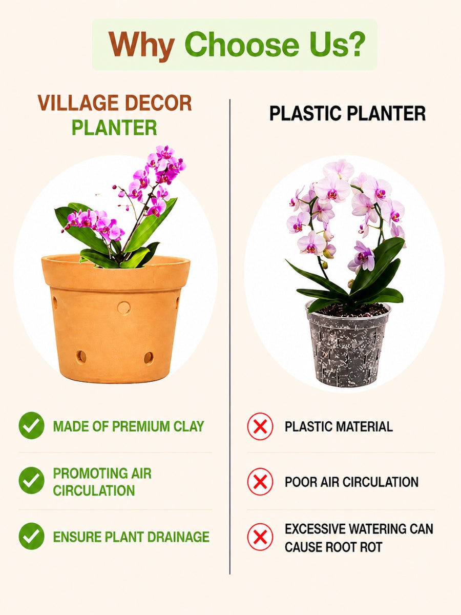 Comparison Between Village Decor Terracotta Planter Pots And Plastic Planter, Highlighting Benefits Like Air Circulation, Drainage, And Clay Material Over Plastic Drawbacks.