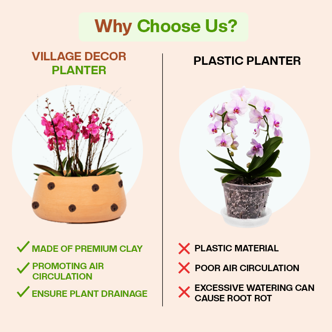 Comparison Between Village Decor Terracotta Planter Pots And Plastic Planter, Highlighting Benefits Like Air Circulation, Drainage, And Clay Material Over Plastic Drawbacks.
