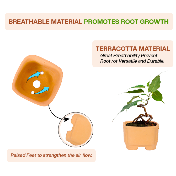 Terracotta Square Shape Bonsai Pot Pack of 2- (Width 3.7 inch)