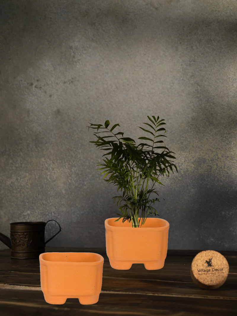 Terracotta Square Shape Bonsai Pot Pack of 2- (Width 3.7 inch)