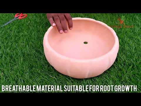 Village Decor Terracotta Bonsai Planter Unboxing and planting.