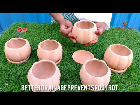 Terracotta Flower pot unboxing and planting