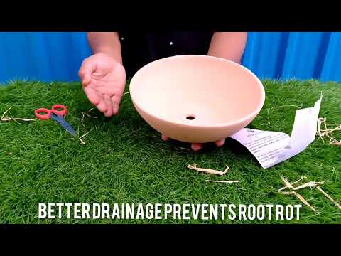 Village Decor Terracotta clay flower pot Unboxing and planting.