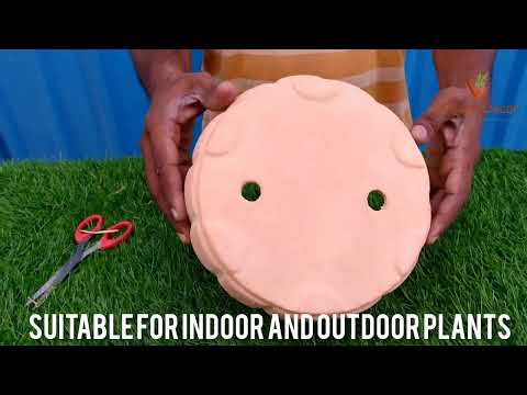 Village Decor Terracotta Bonsai Planter Unboxing and planting.