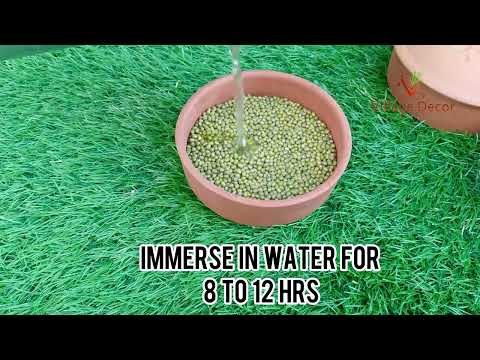 Unboxing and using terracotta sprout maker.