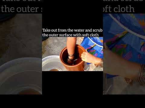 steps to clean white mold in clay water pot