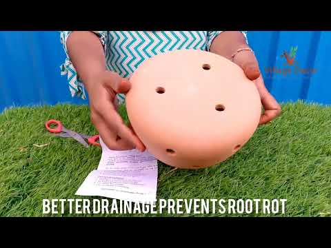 Unboxing Village Decor Terracotta Handmade Orchid Planter Pot.