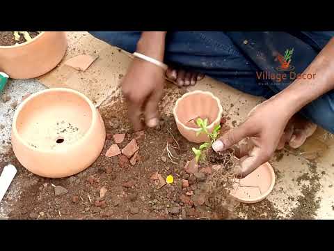 Terracotta Garden pots clay unboxing and planting
