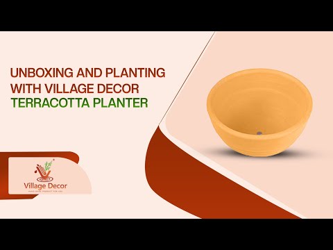 Village Decor Terracotta clay flower pot Unboxing and planting.