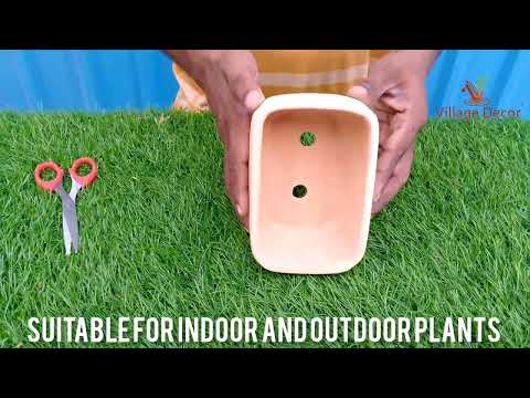 Village Decor Terracotta Bonsai Planter Unboxing and planting.