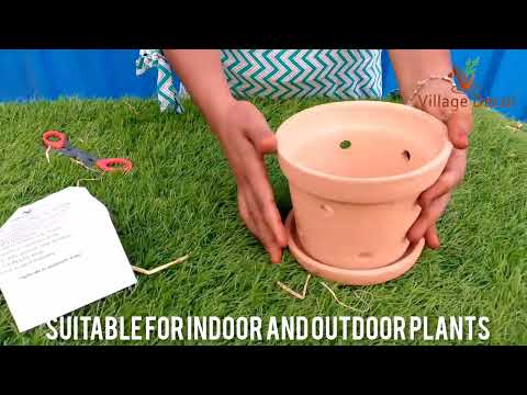 Unboxing Village Decor Terracotta Handmade Orchid Planter Pot.