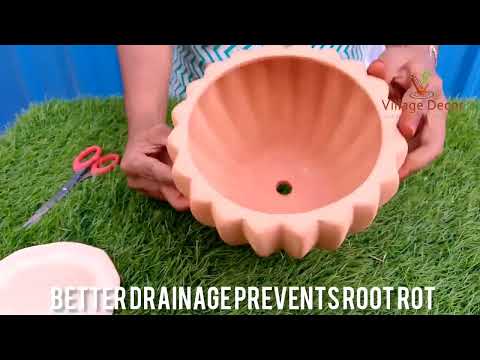 Terracotta Flower pot unboxing and planting