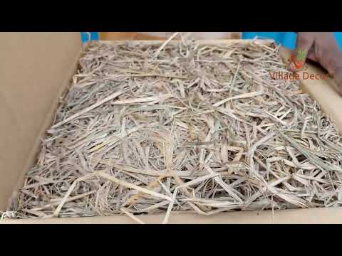 Village Decor Terracotta Bonsai Planter Unboxing and planting.