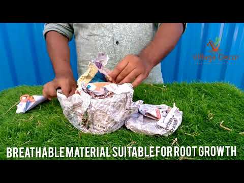 Unboxing Village Decor Handmade Cylinder Shape Terracotta planter pot.