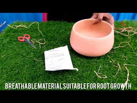 Village Decor Terracotta clay flower pot Unboxing and planting.