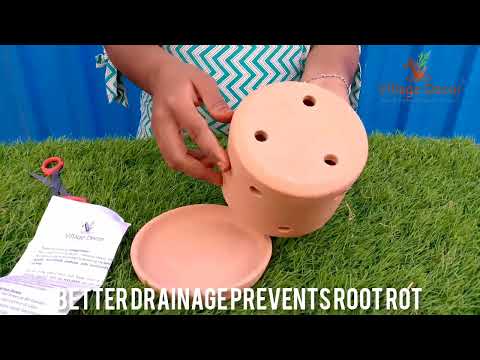 Unboxing Village Decor Terracotta Handmade Cylinder Shape Orchid Planter Pot.