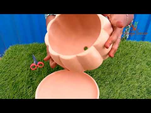 Terracotta Flower pot unboxing and planting