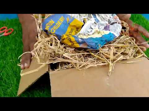 Village Decor Terracotta Bonsai Planter Unboxing and planting.