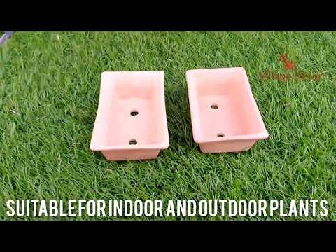 Village Decor Terracotta Bonsai Planter Unboxing and planting.