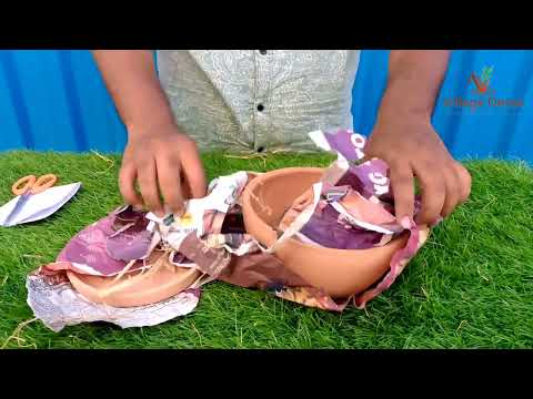 Village Decor Terracotta clay flower pot Unboxing and planting.