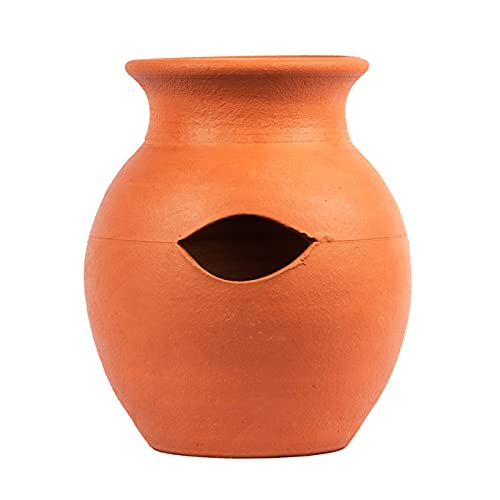 Terracotta Orchid Pot Pack of 1