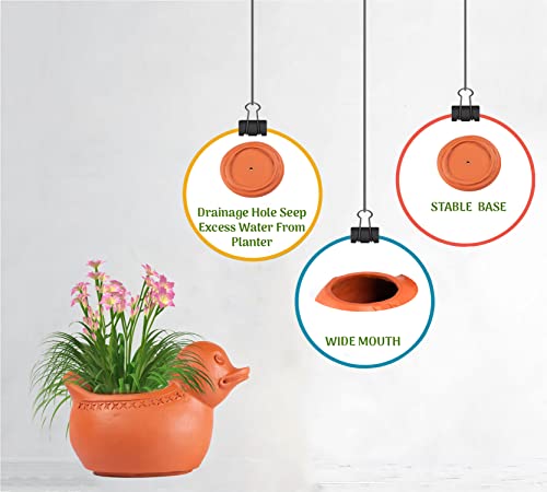 Terracotta Duck Shape Planter Indoor / Outdoor