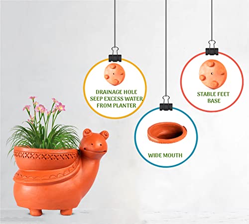 Terracotta Snail Shape Planter Indoor / Outdoor