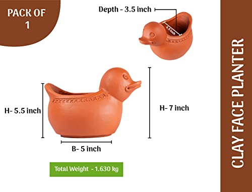 Terracotta Duck Shape Planter Indoor / Outdoor