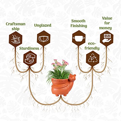 Terracotta Snail Shape Planter Indoor / Outdoor